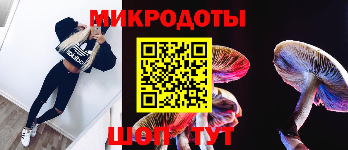 Галлюциногенные грибы Cubensis Чебаркуль