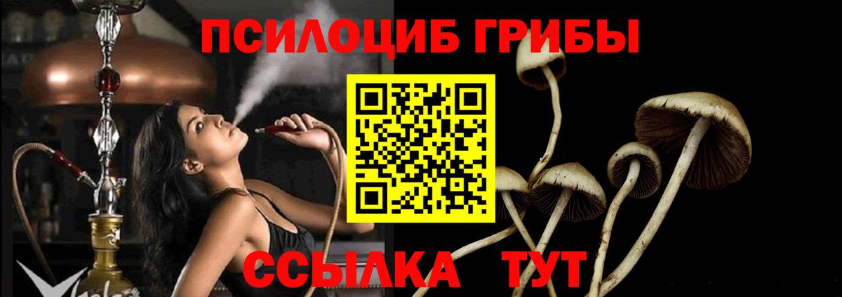 Чебаркуль  купить   Вход с VPN  Галлюциногенные грибы Cubensis 